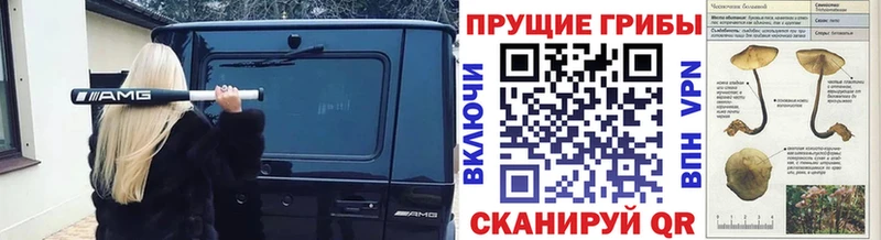 купить наркотик Мегион Галлюциногенные грибы MAGIC MUSHROOMS